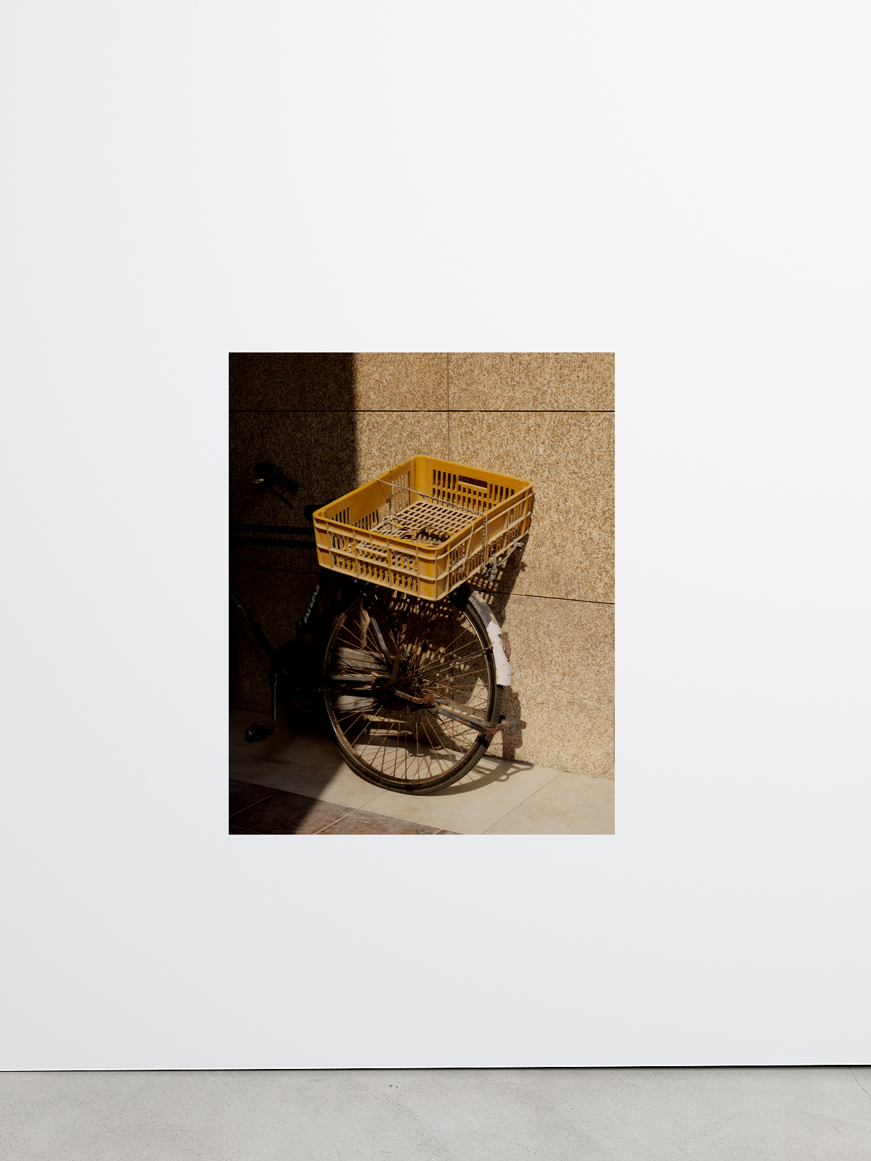 Untitled (Bike) by Ryan Debolski