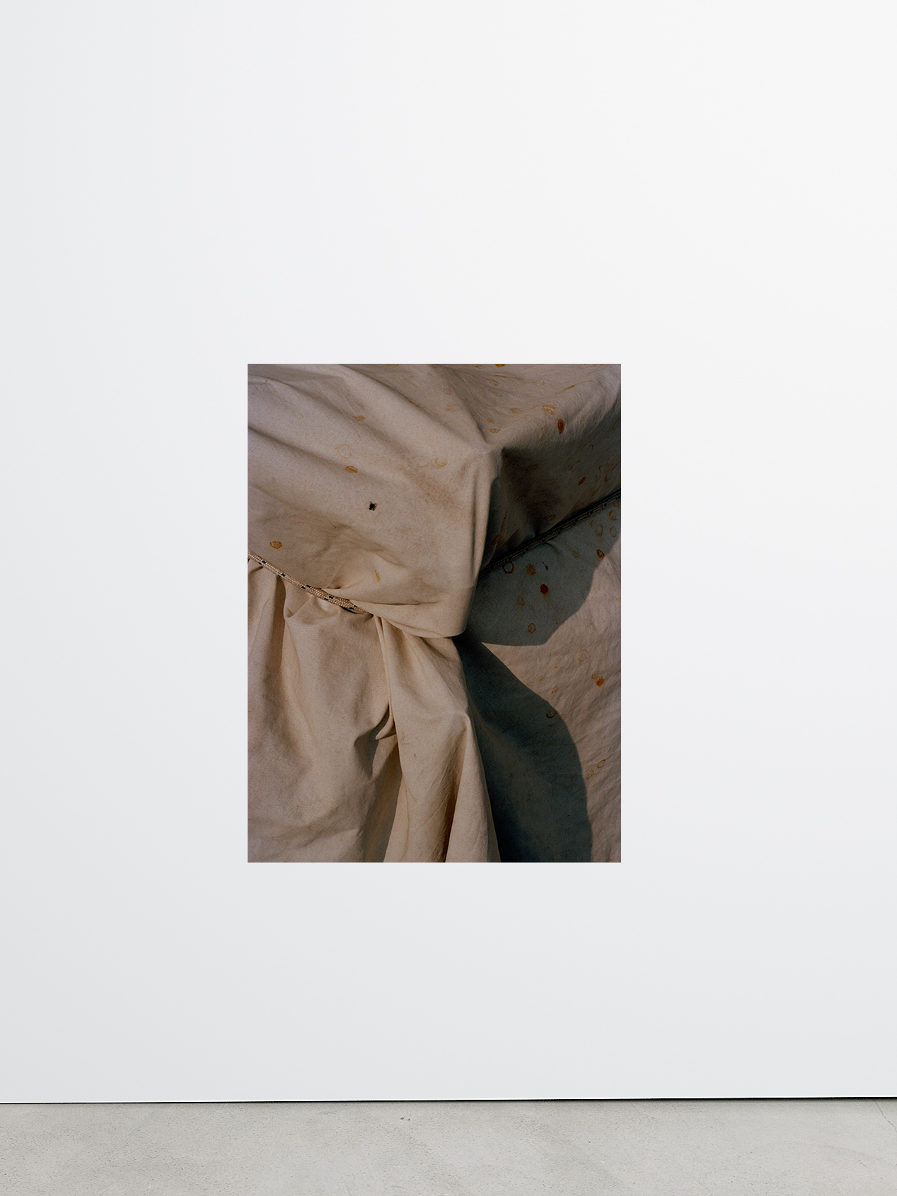 untitled (Cinque Terre) by Johann Husser