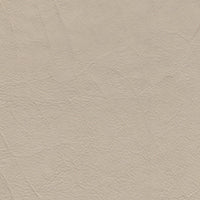 Leather - Gibson