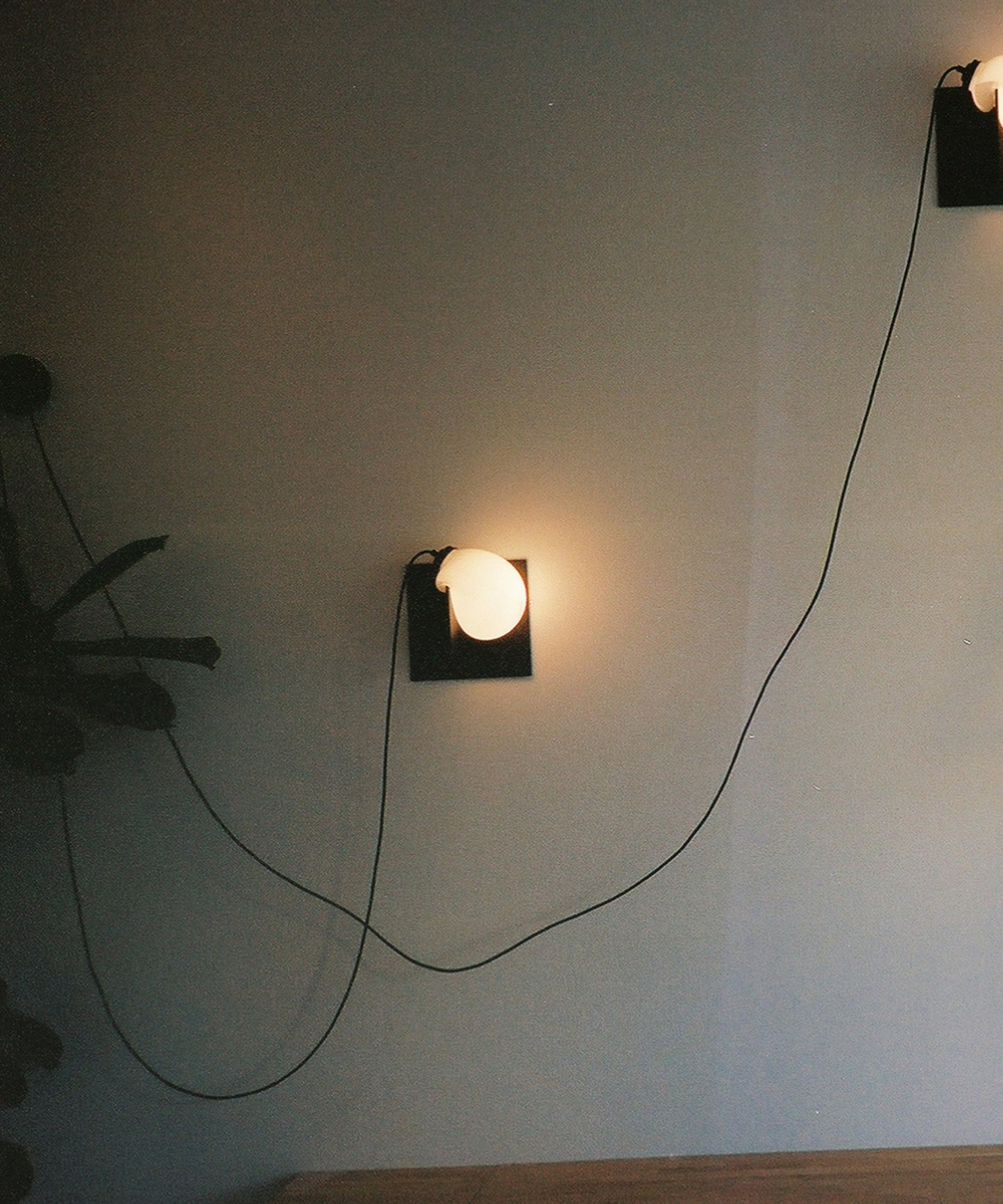 TRNK_Nick_Pourfard__0000_7-BLOOPSCONCE