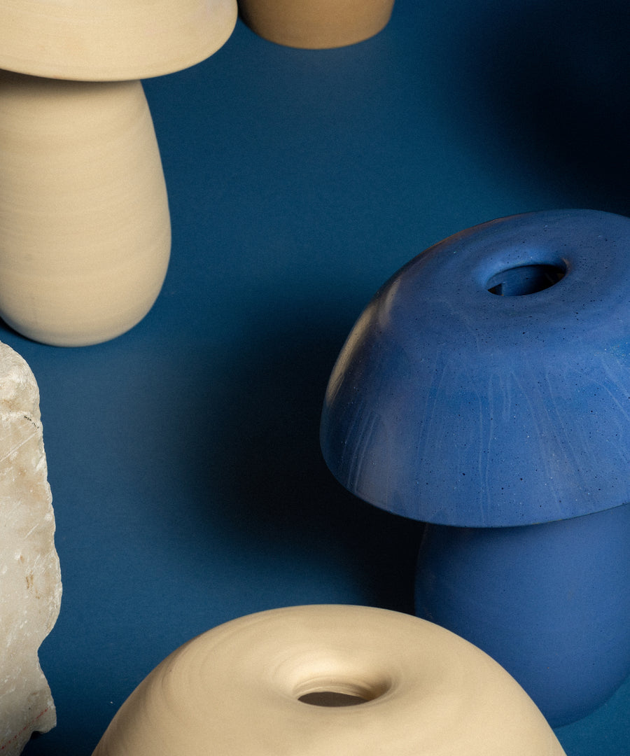 TRNK_Nick_pourfard__0002_14-MUSHROOMLAMP-1