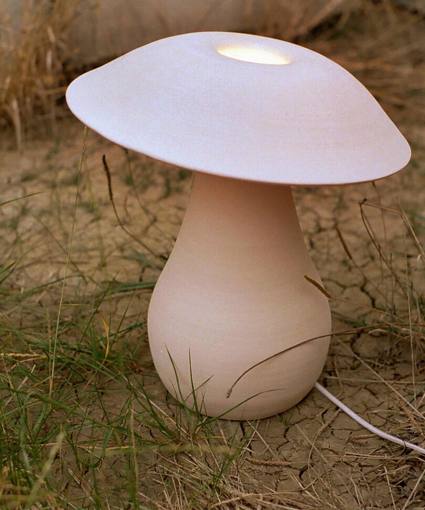 Mushroom Lamp