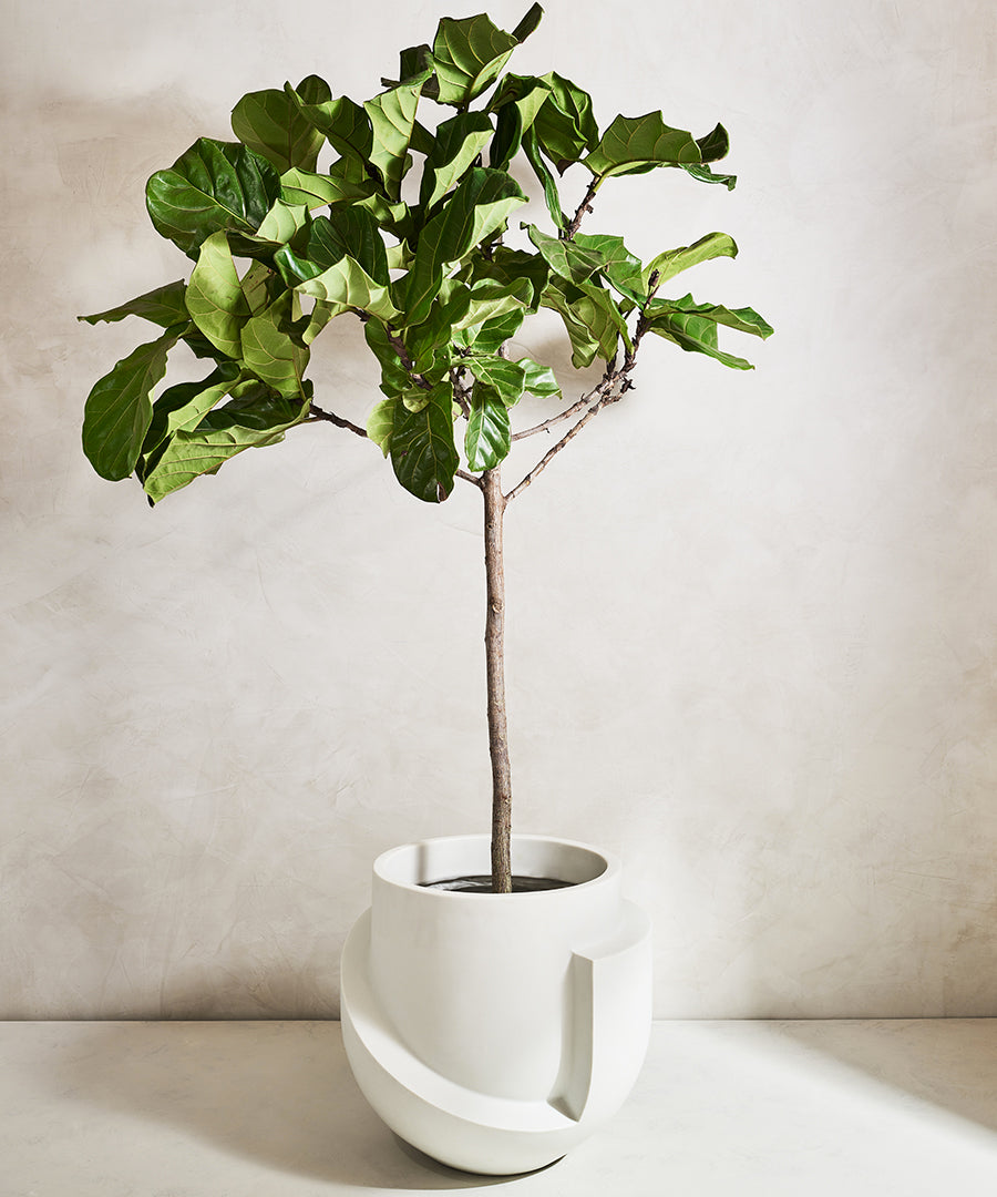 xl planter pot Vayu XL Floor Planter