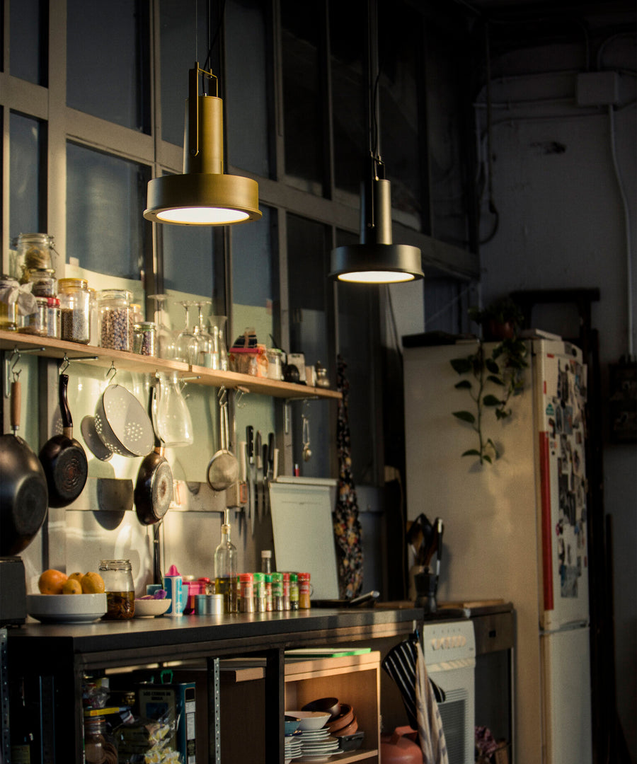 Arne Domus Pendant Lamp