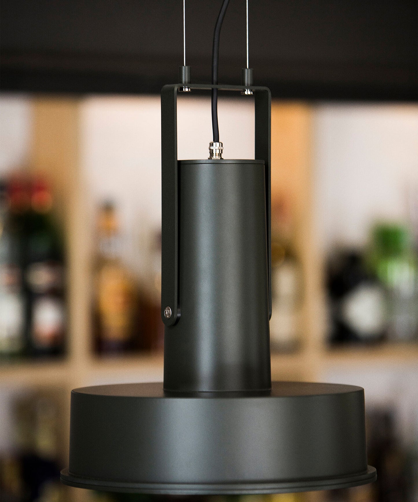 Arne Domus Pendant Lamp