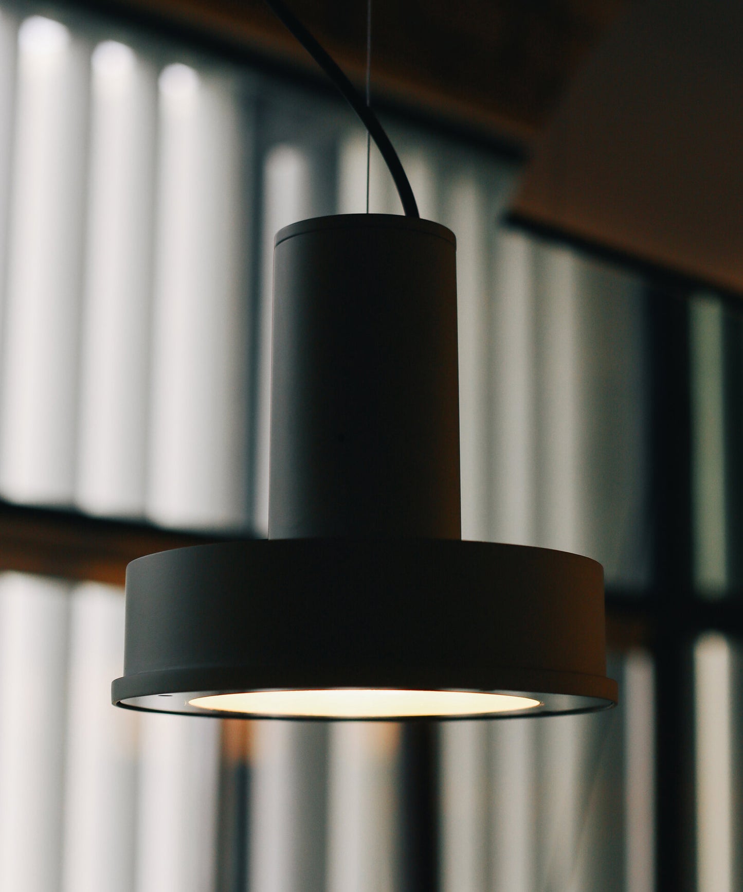 Arne Domus Pendant Lamp