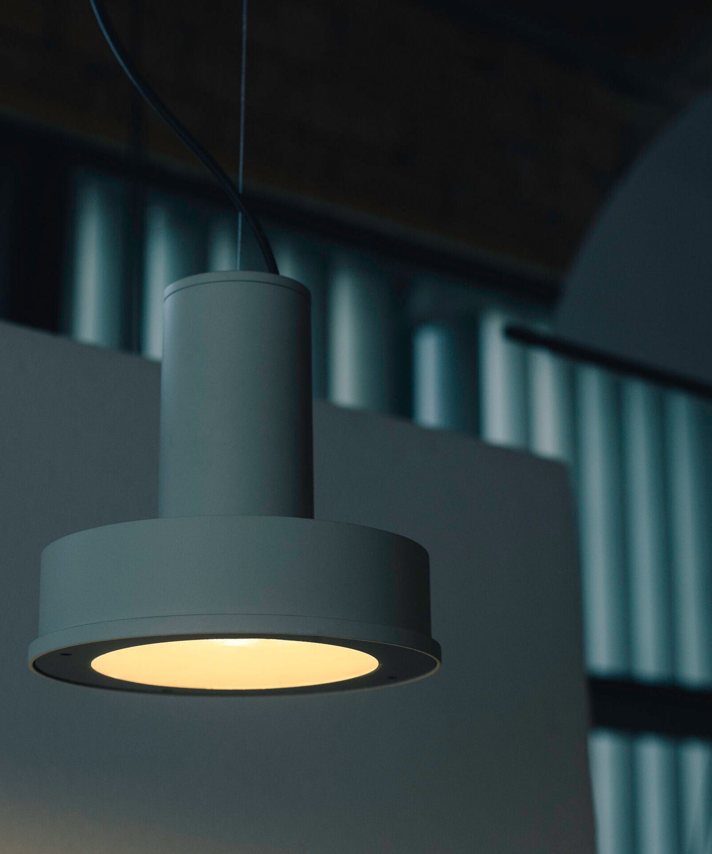Arne Domus Pendant Lamp