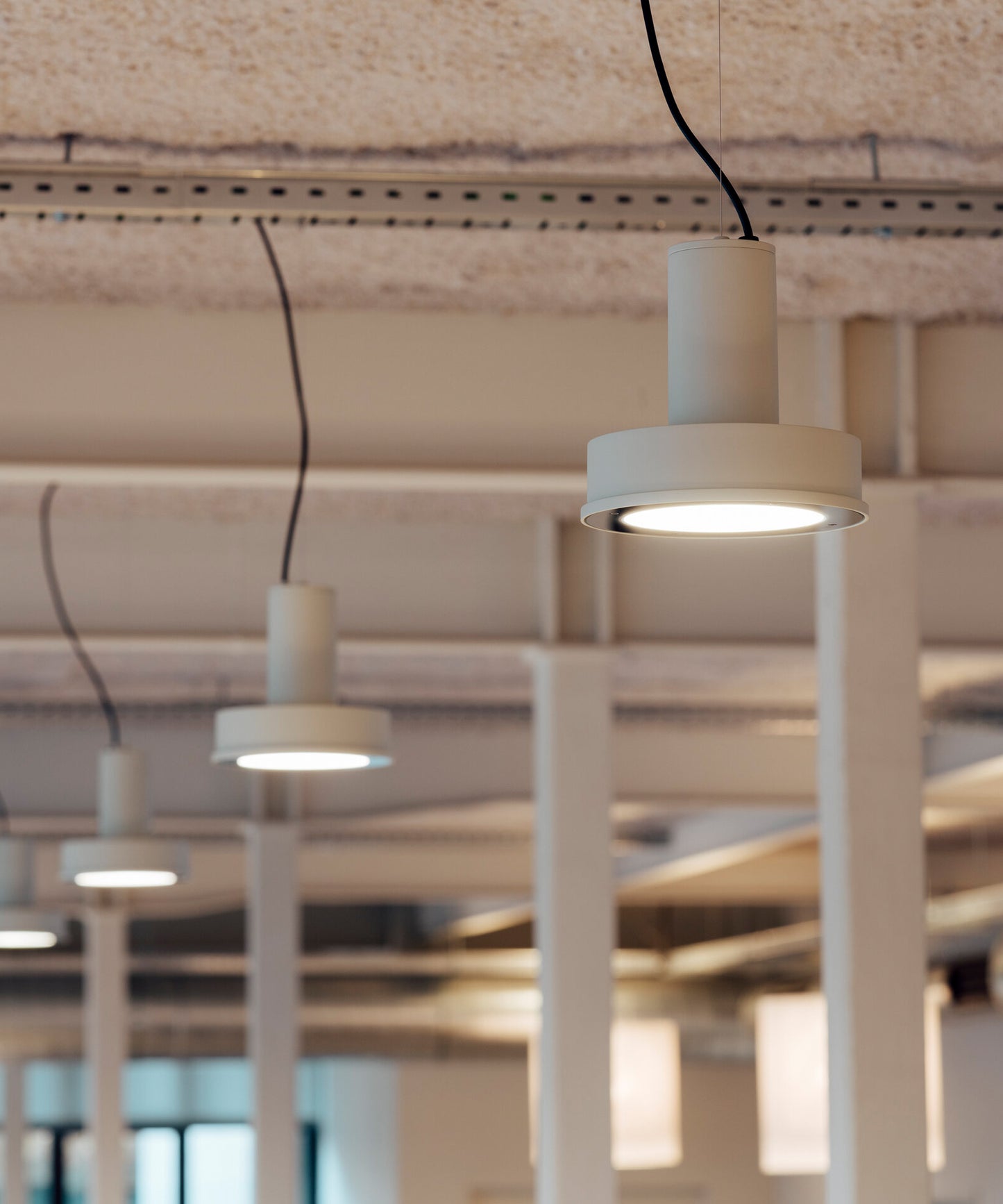 Arne Domus Pendant Lamp