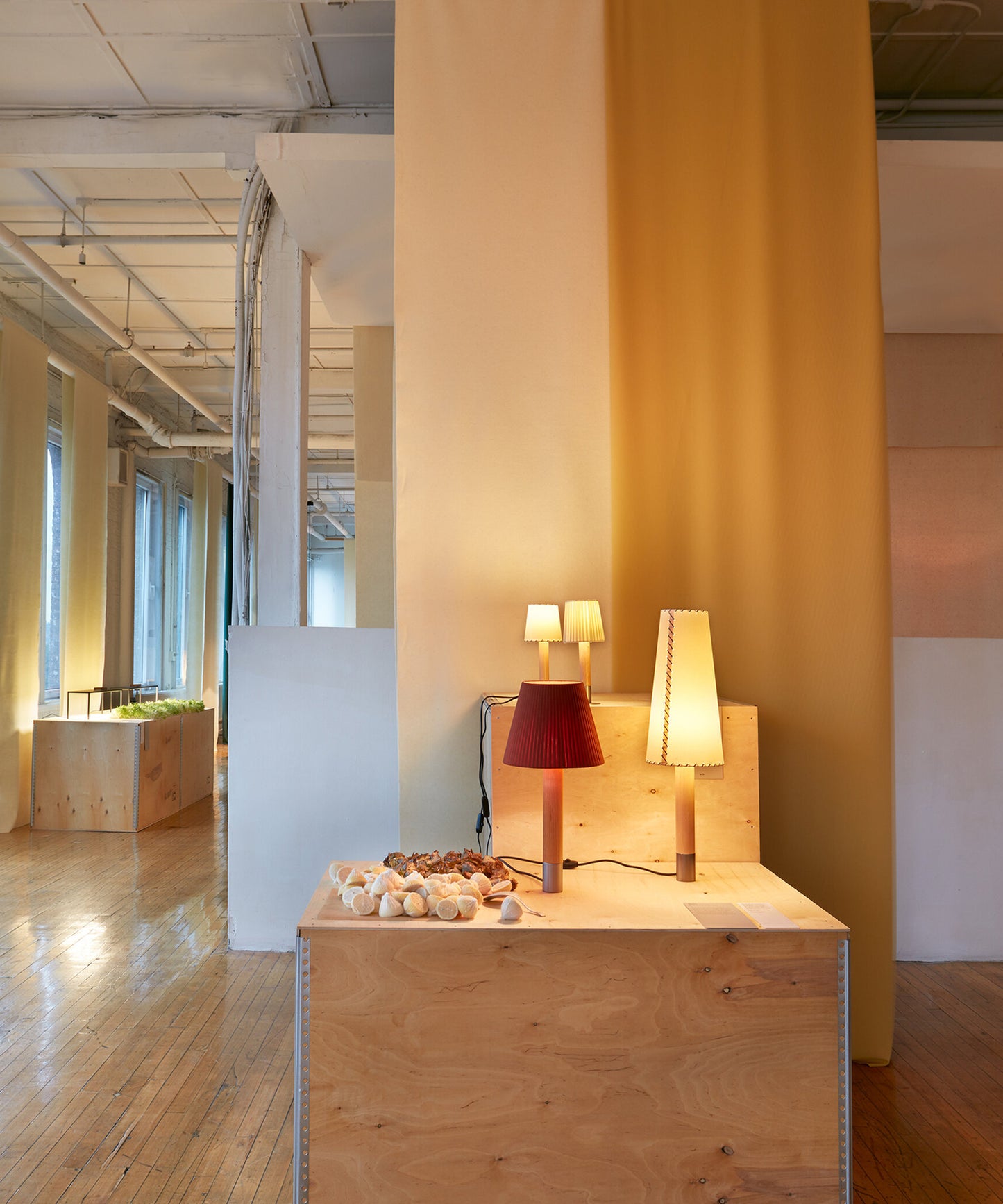 Basica M1 Table Lamp