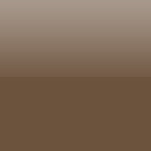 Bronze Tempered Glass