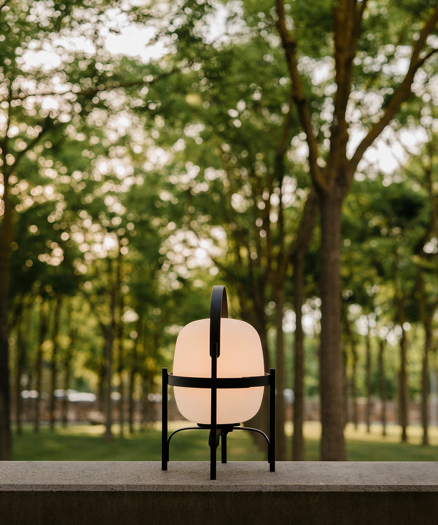 Cestita Alublat Table Lamp