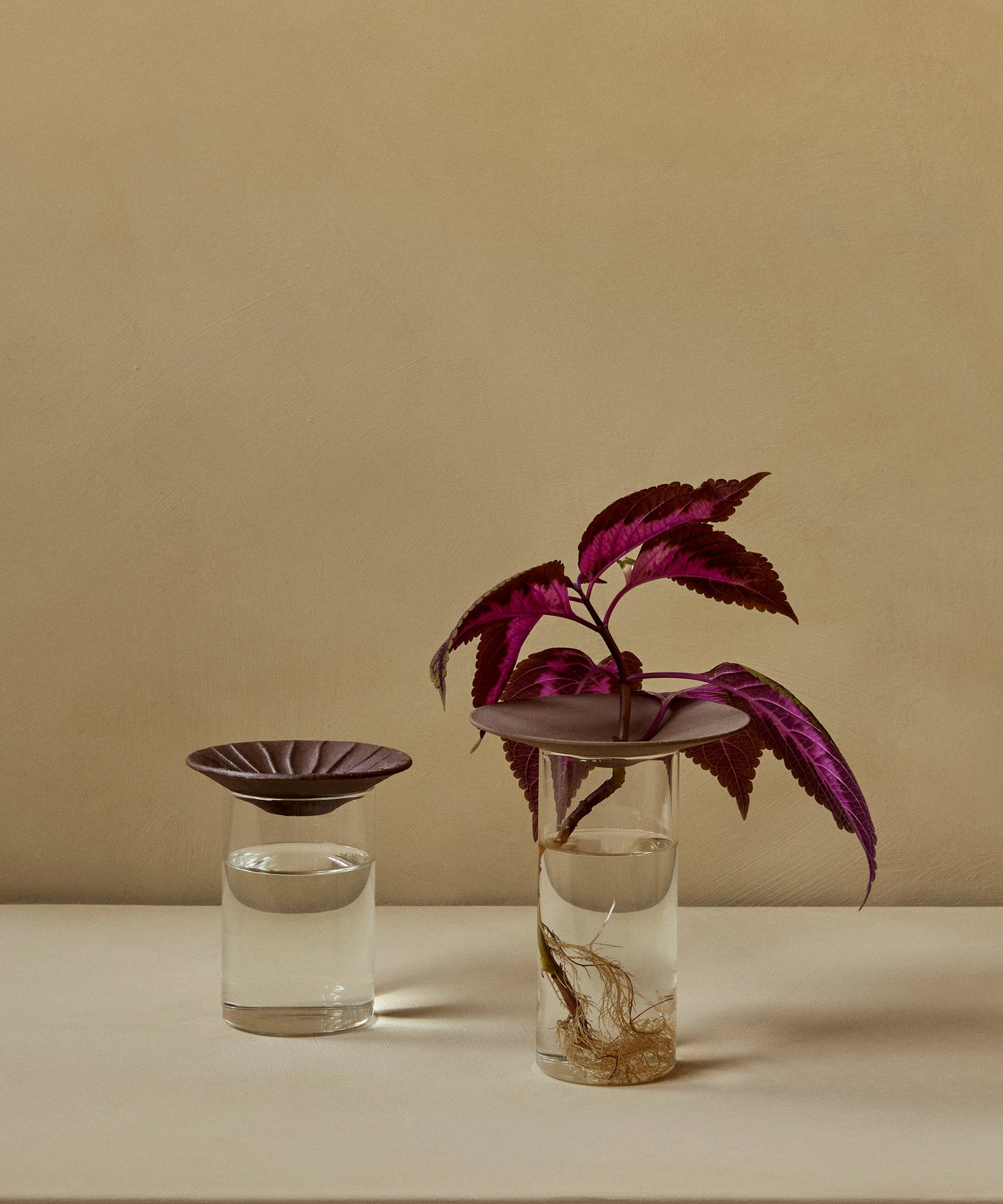 Cresco Propagation Vases, Set of 2