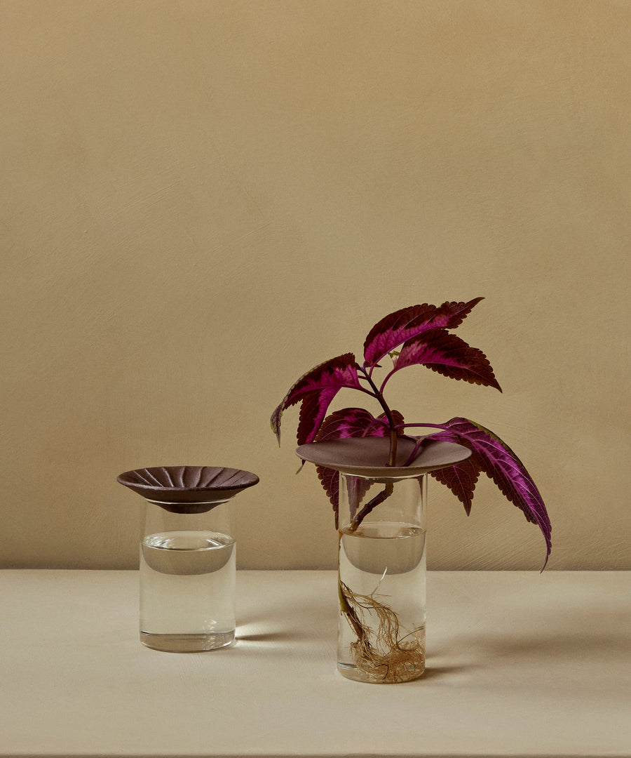 Cresco Propagation Vases, Set of 2