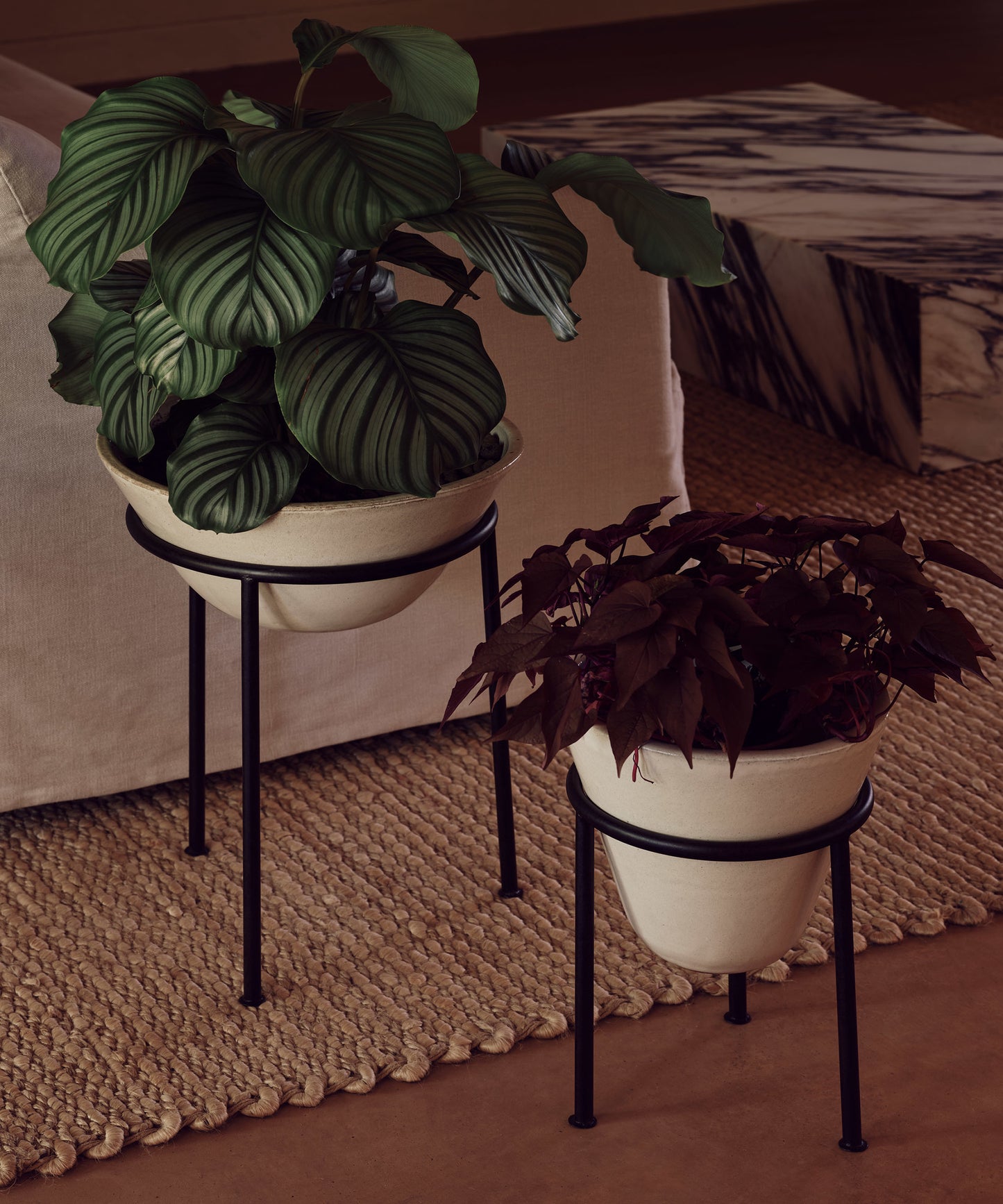 Daiza Planter