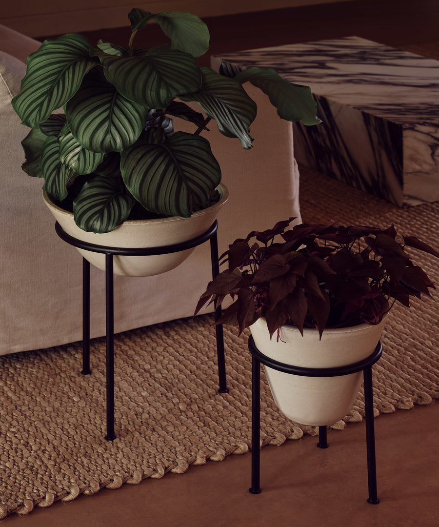 Daiza Planter