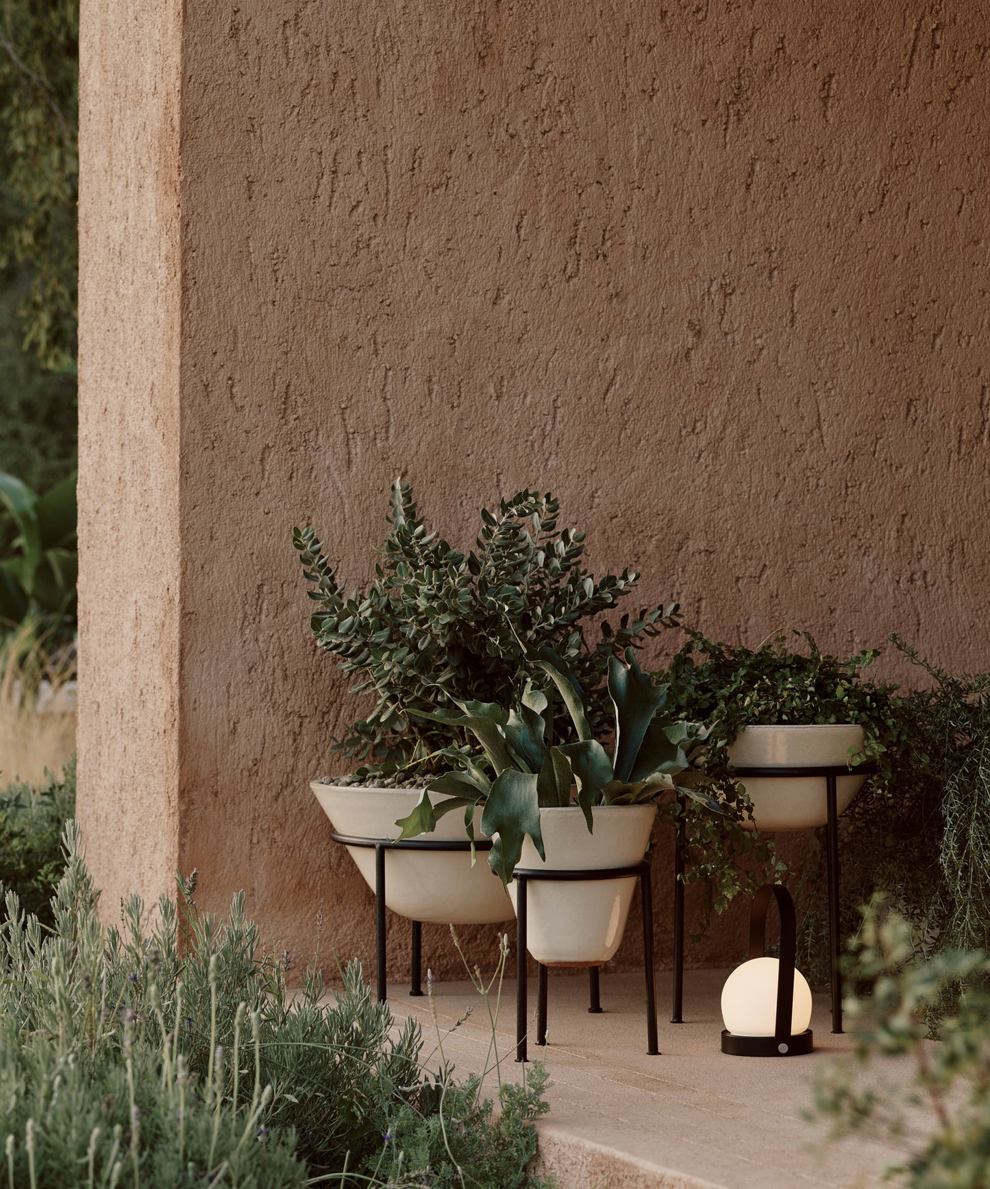 Daiza Planter