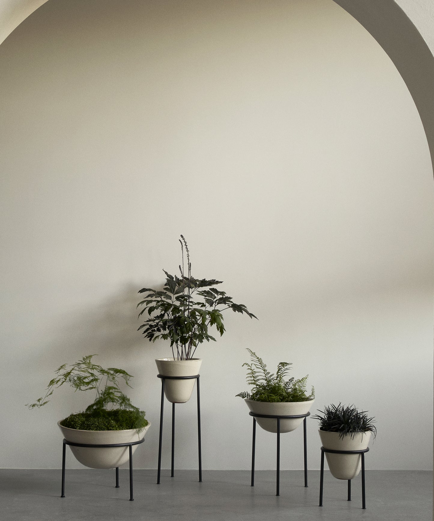 Daiza Planter