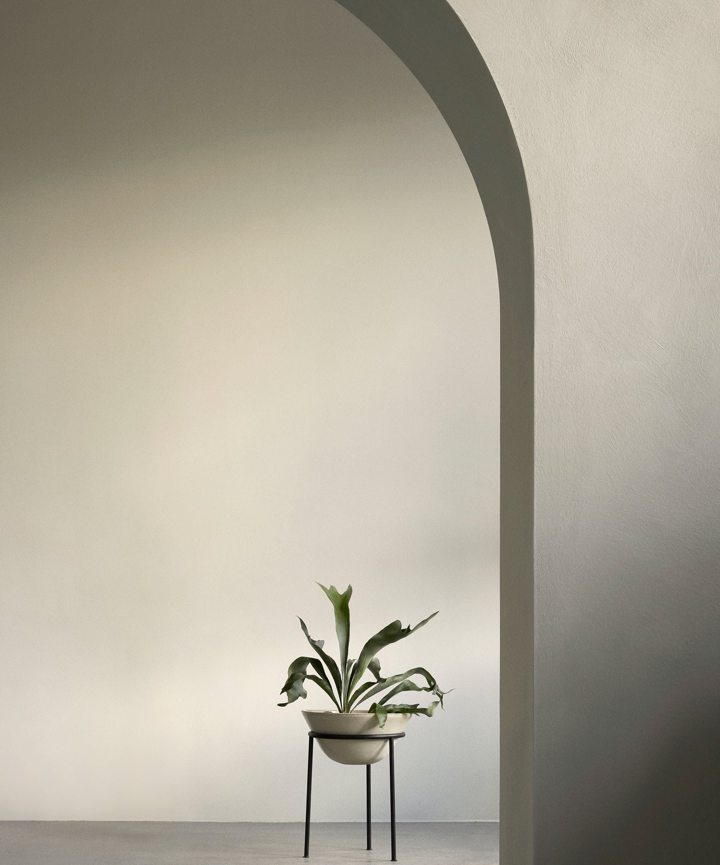Daiza Planter