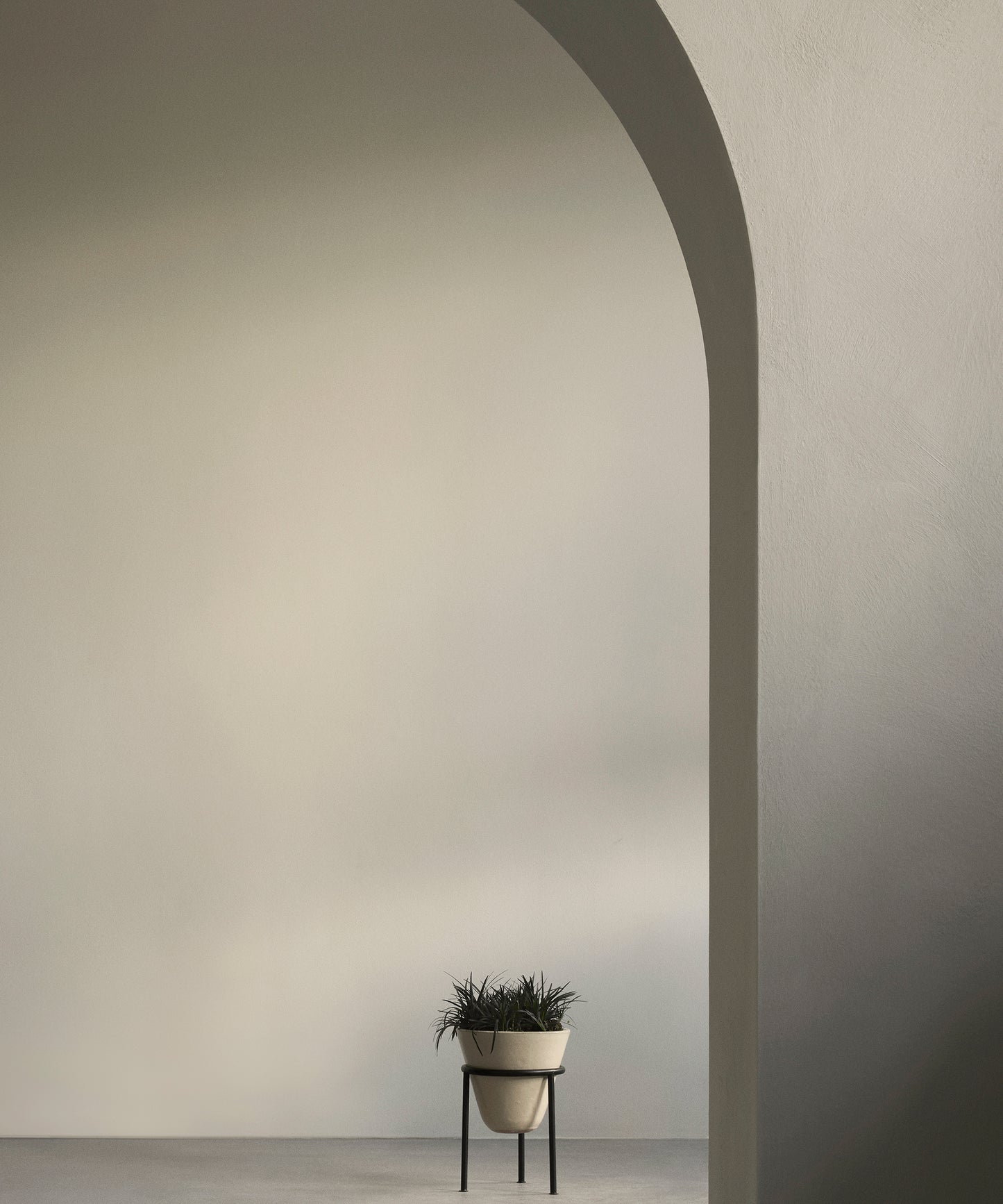 Daiza Planter