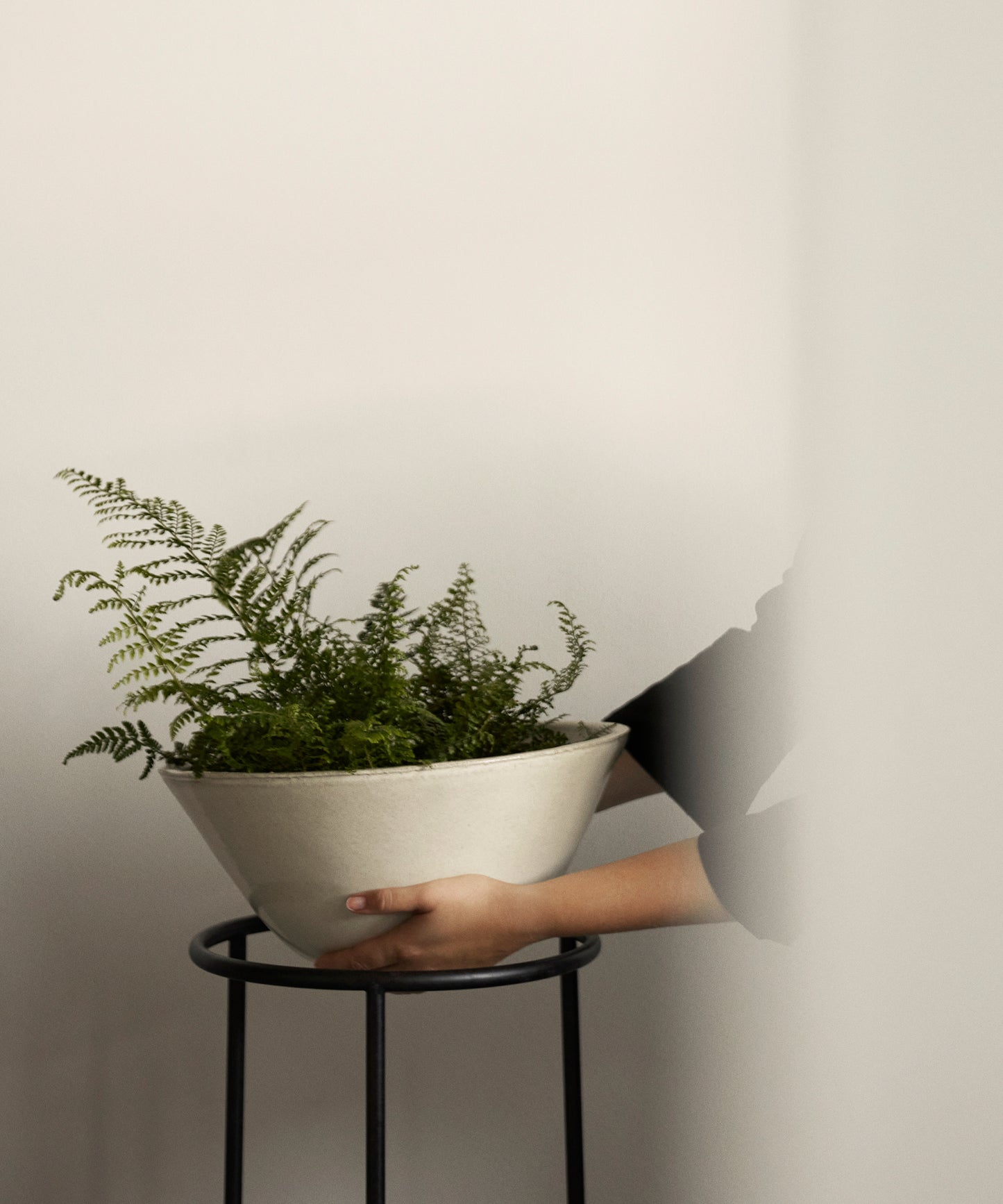 Daiza Planter
