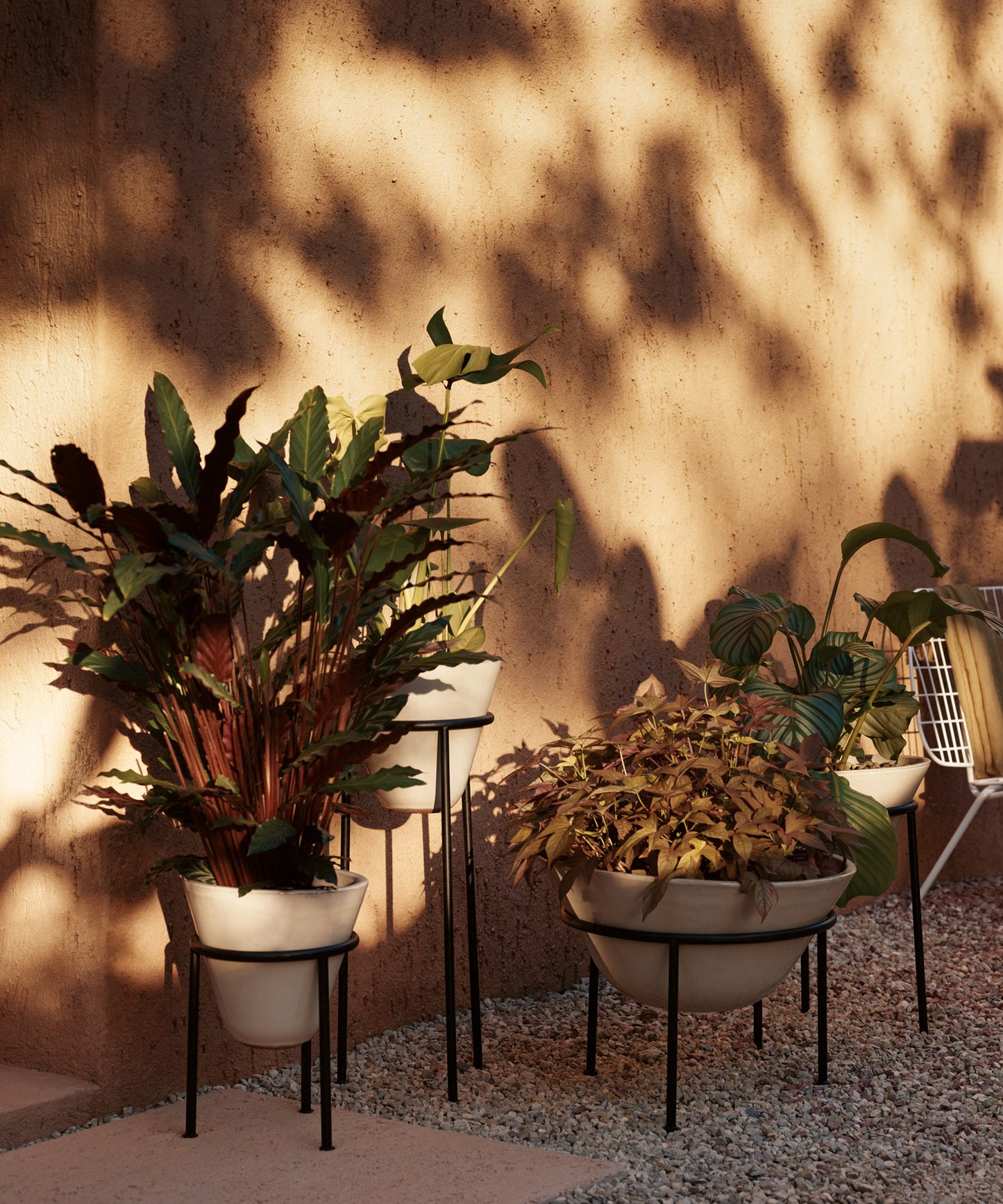 Daiza Planter