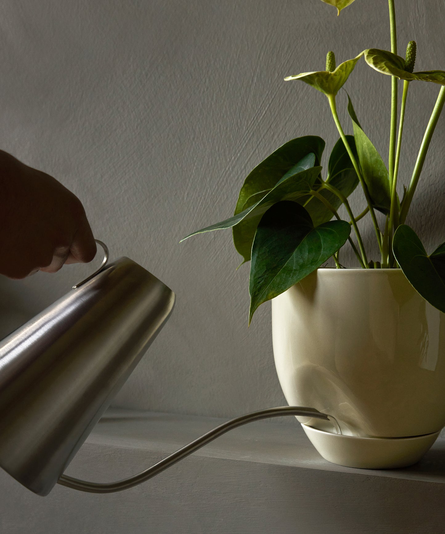 Hydrous Planter