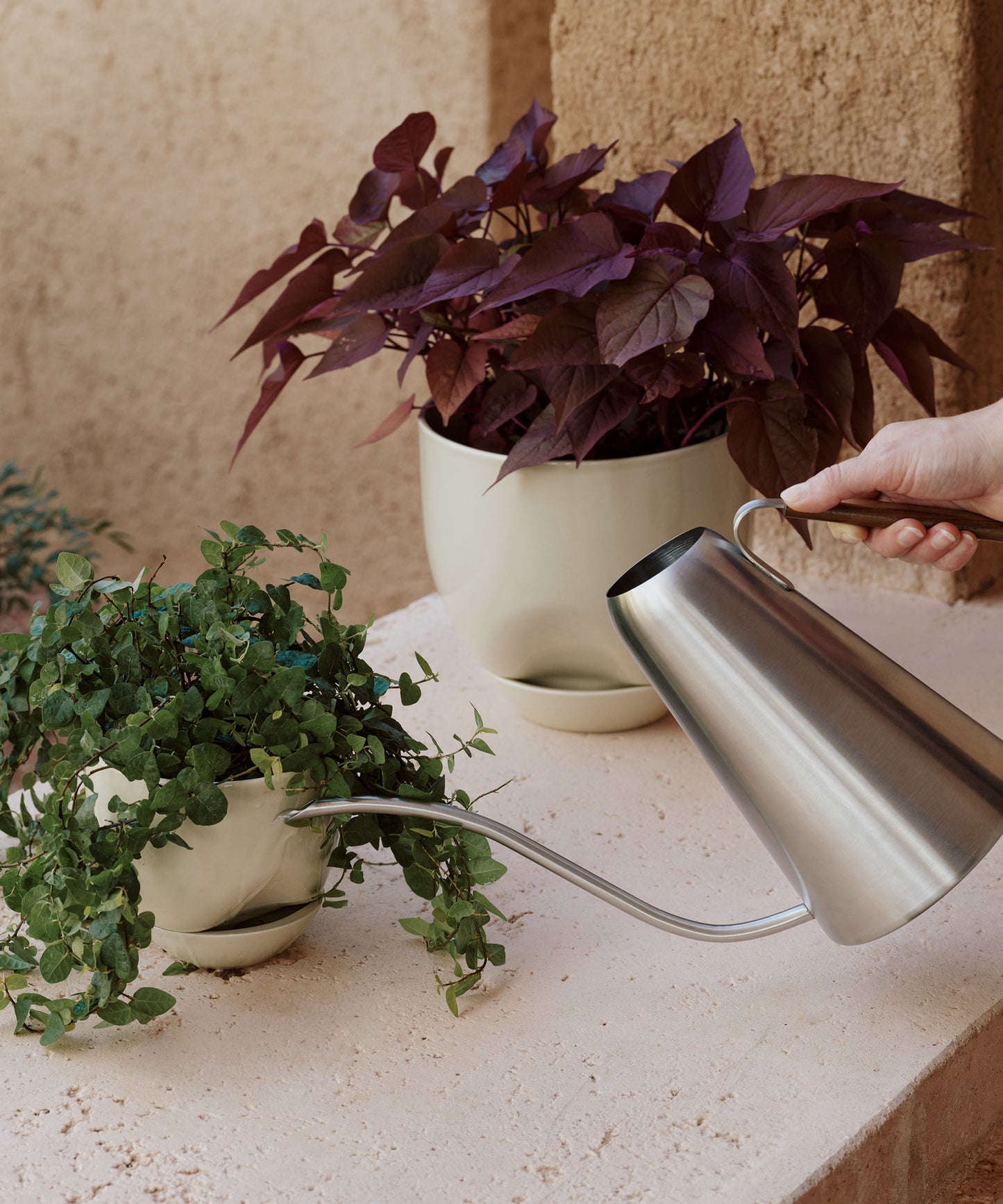 Hydrous Planter