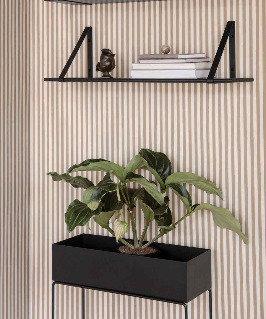 Plant Box