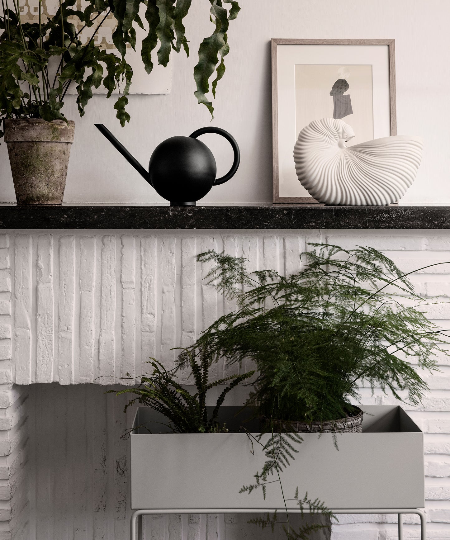 Plant Box