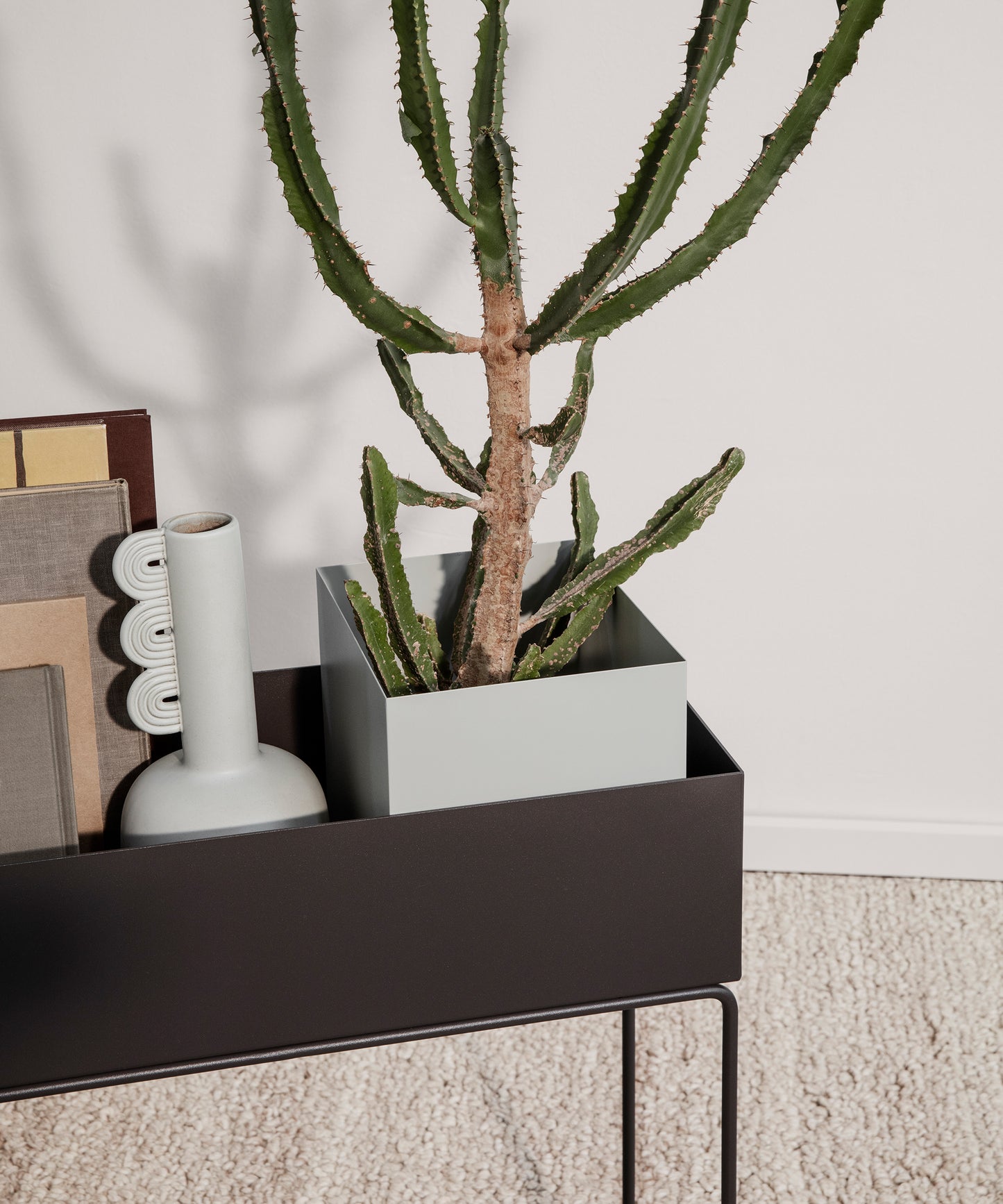 Plant Box
