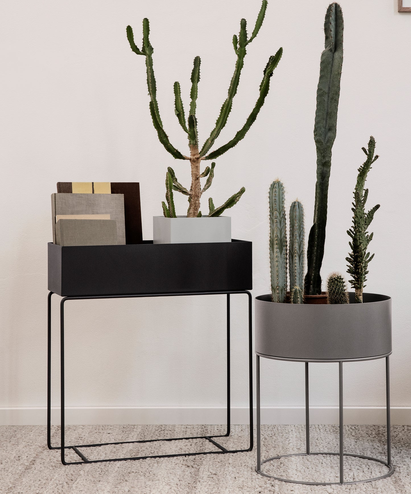 plant-box-13