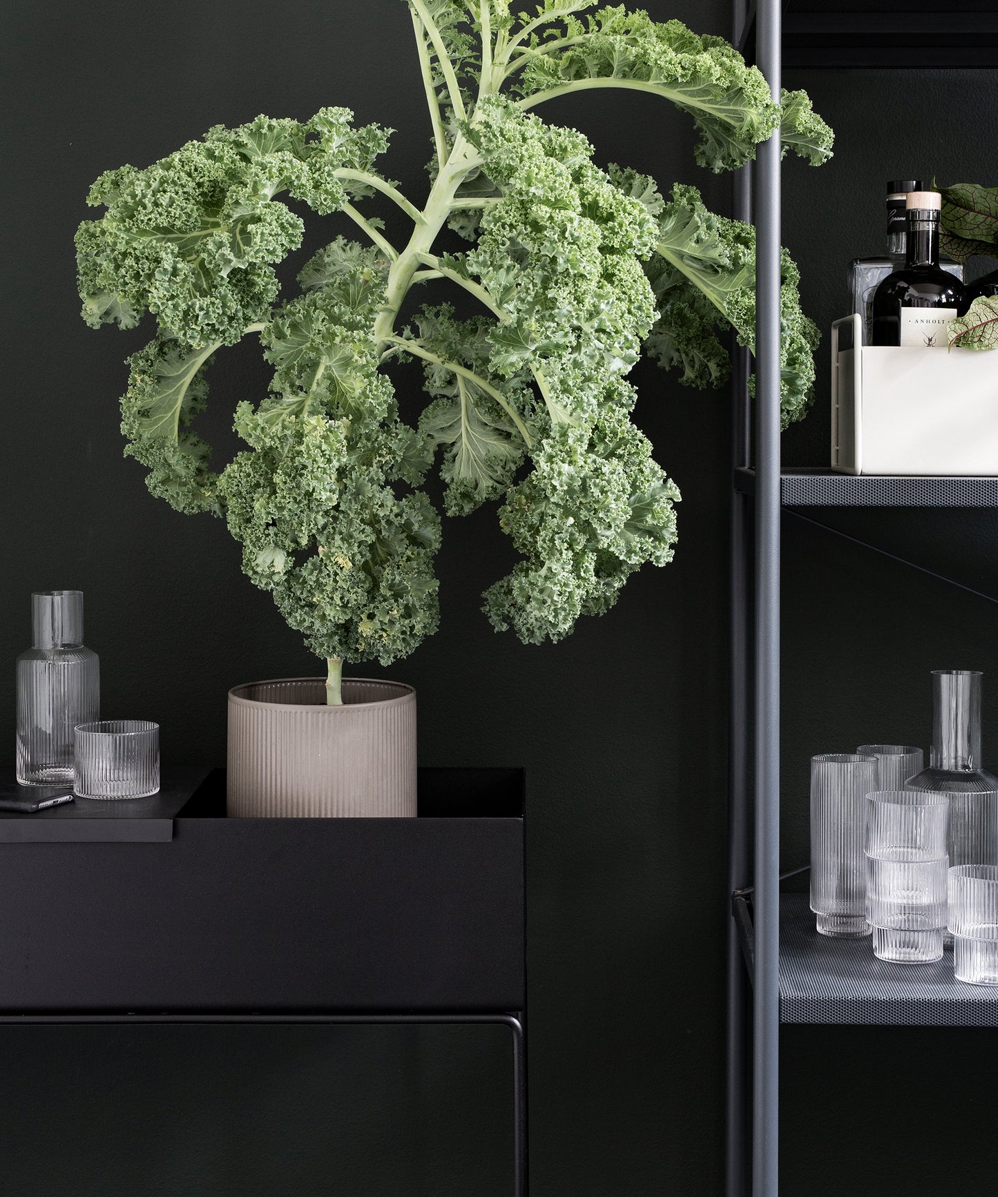 Plant Box