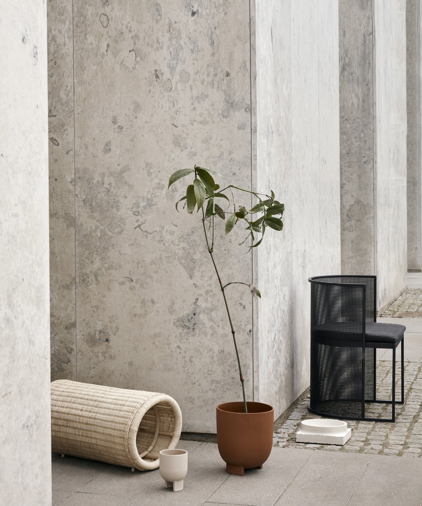 Bauhaus Dining Chair
