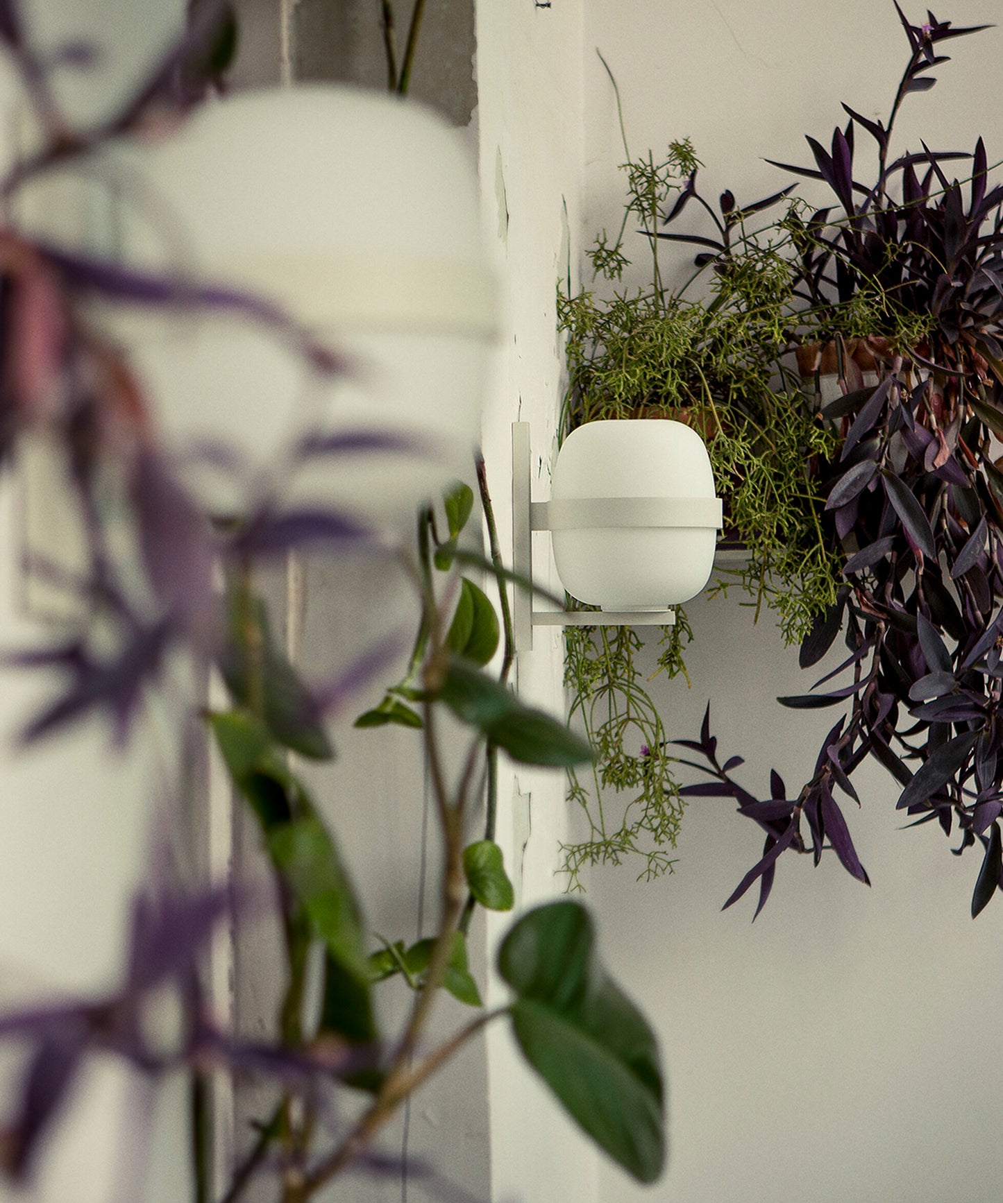 Wally Cestita Wall Lamp