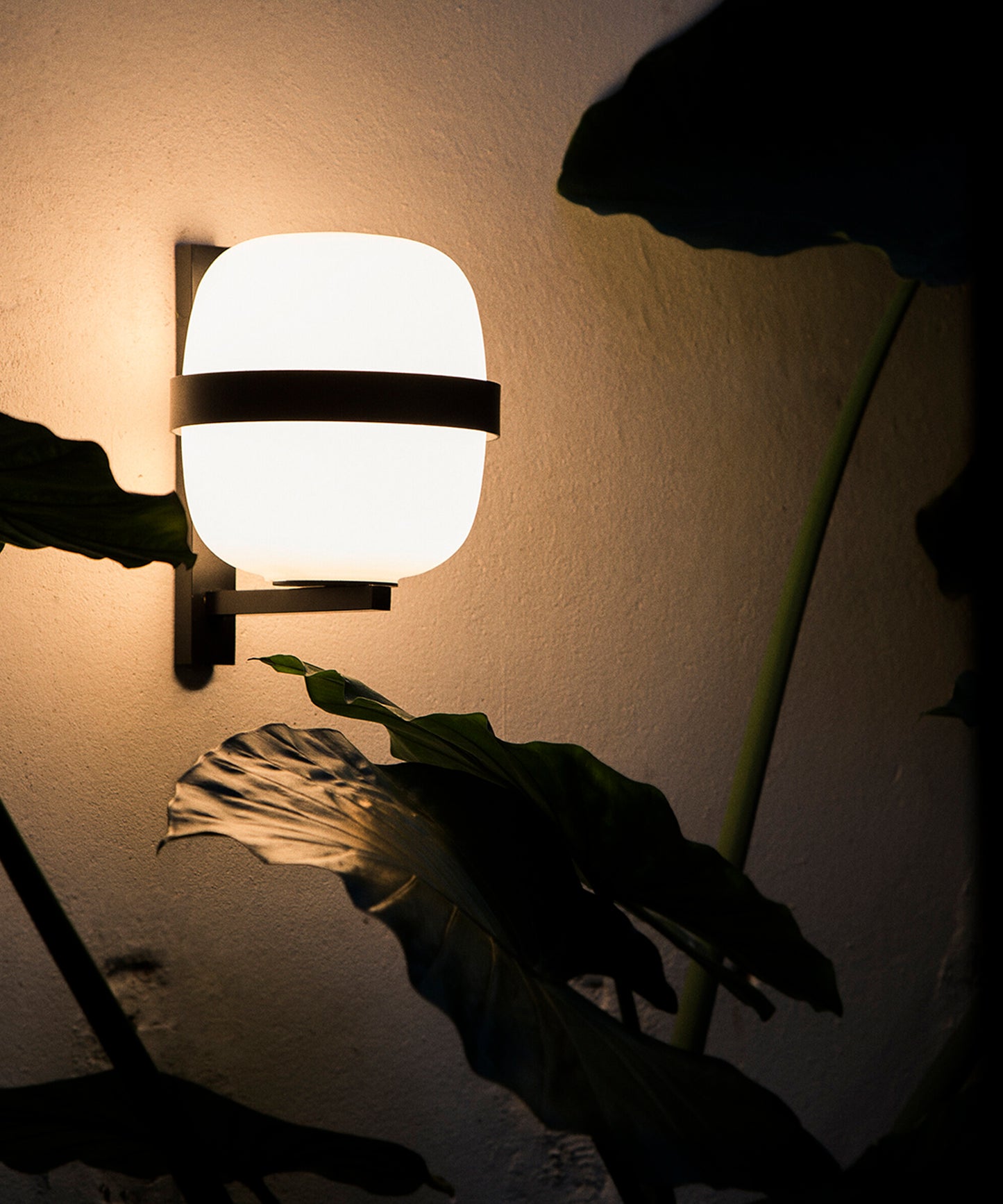 Wally Cestita Wall Lamp