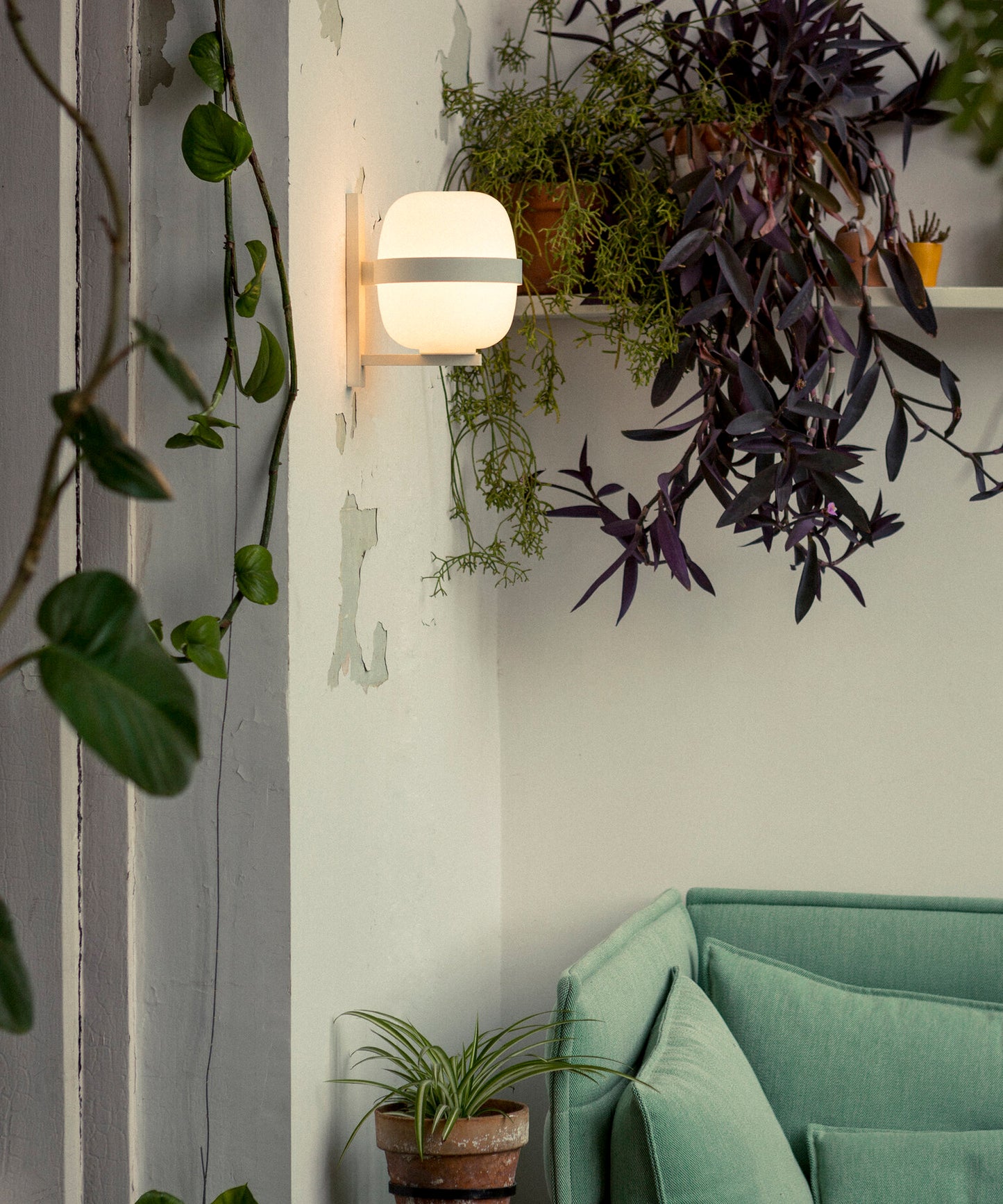 Wally Cestita Wall Lamp