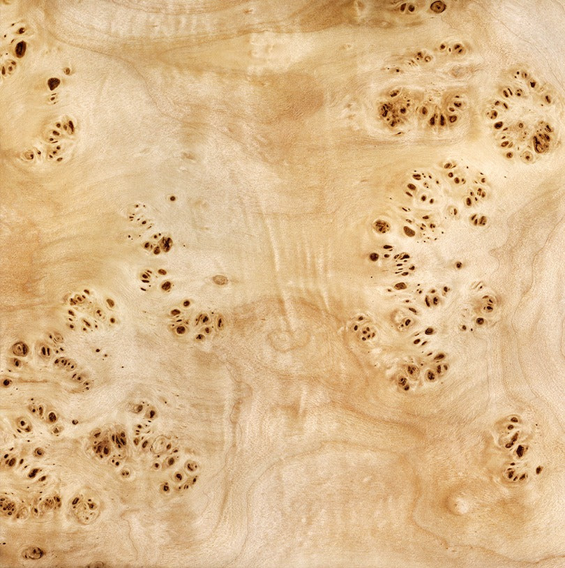 Segment Coffee Table - Poplar Root Matte - Sample