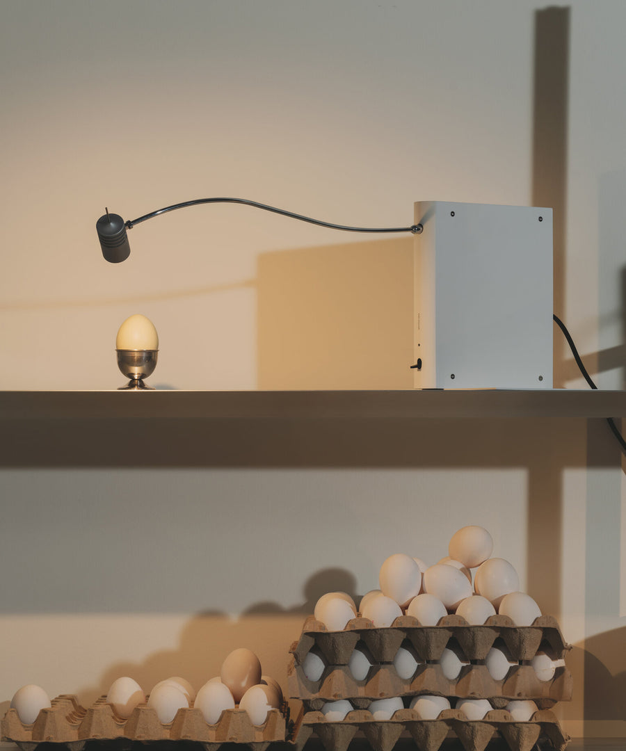 Bib Luz Table Lamp