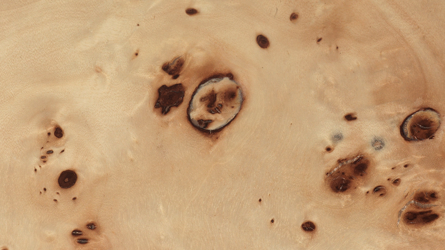 Burl Coffee Table