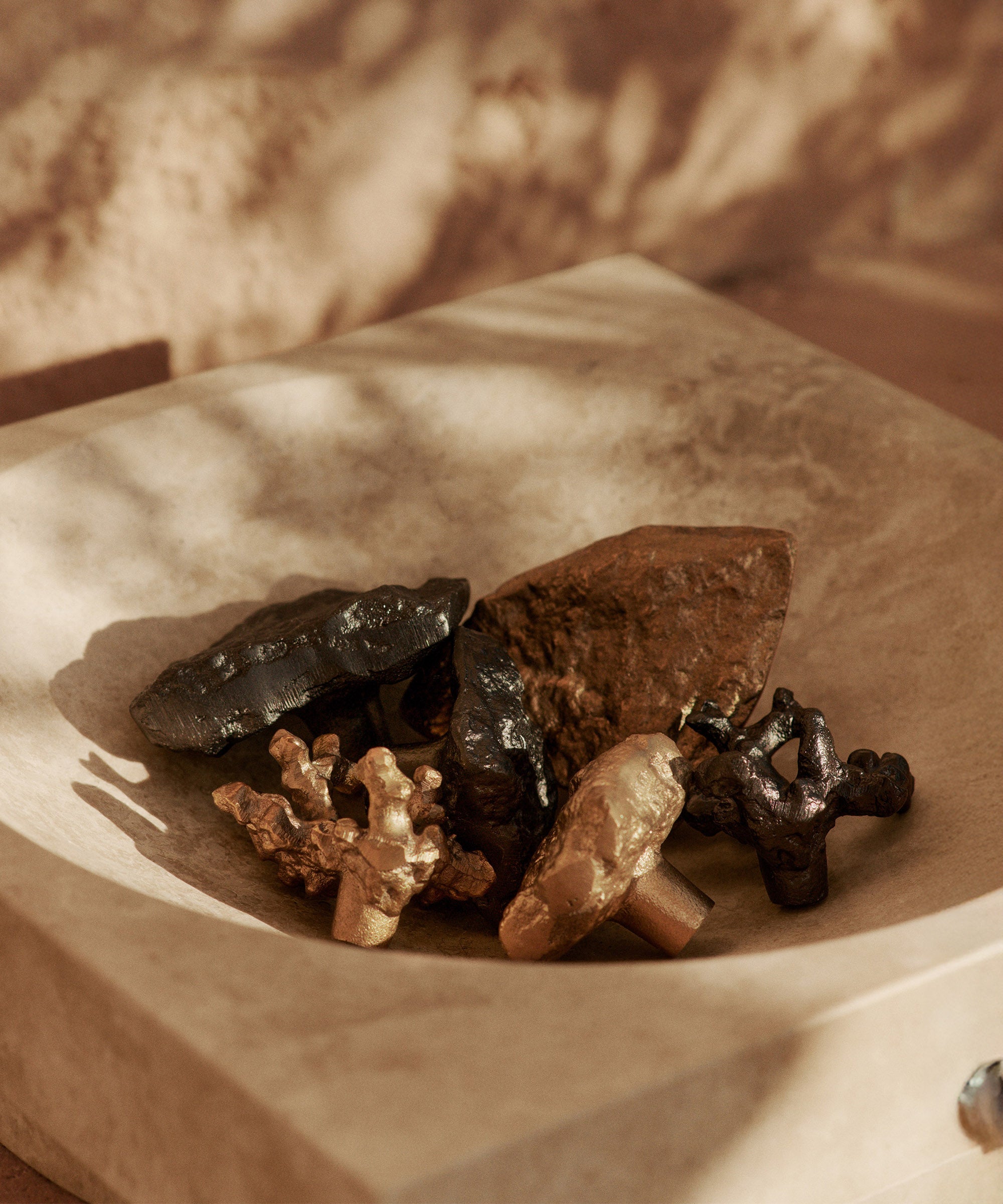 Comber Coral Branch Hook