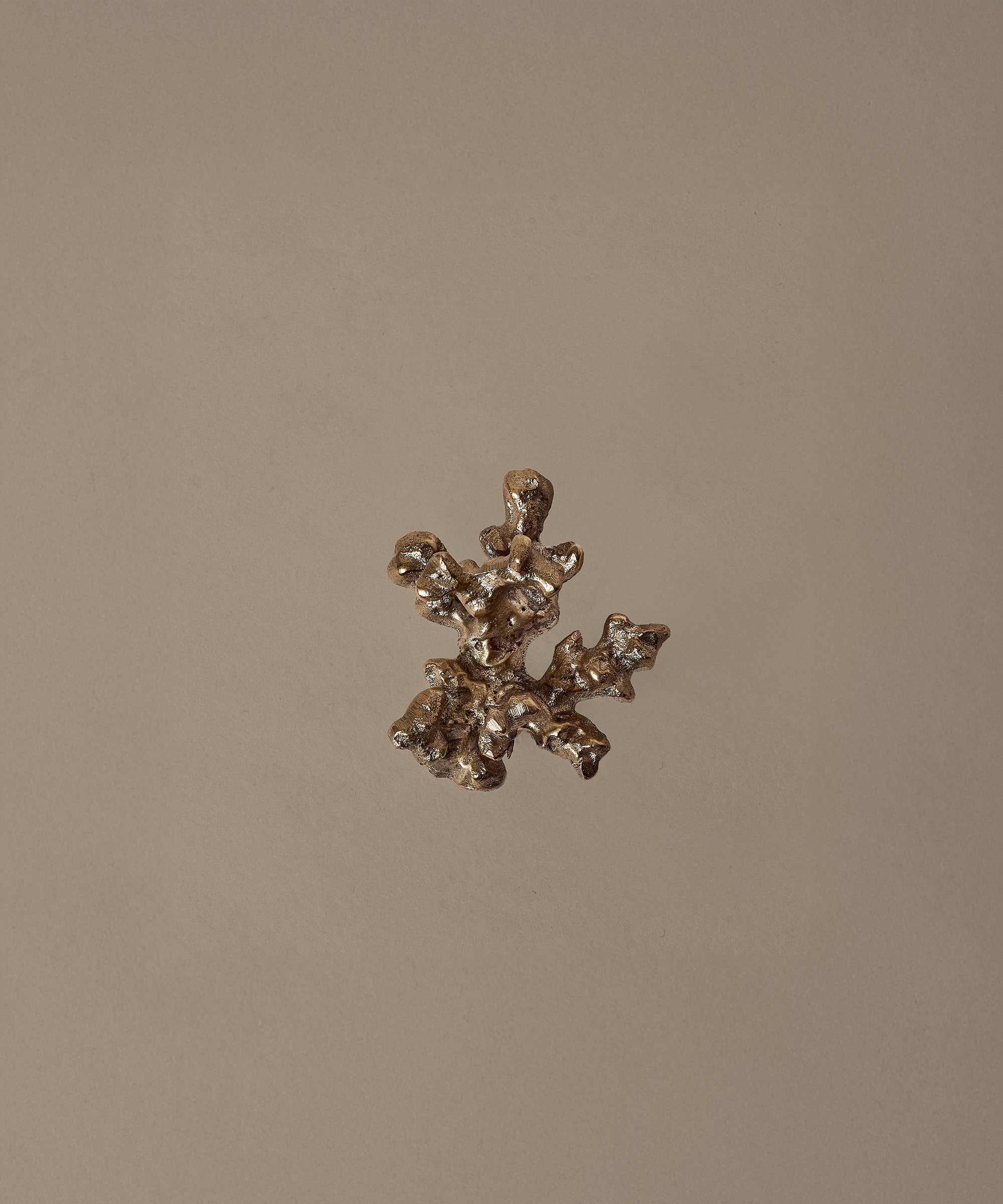 Comber Coral Branch Hook