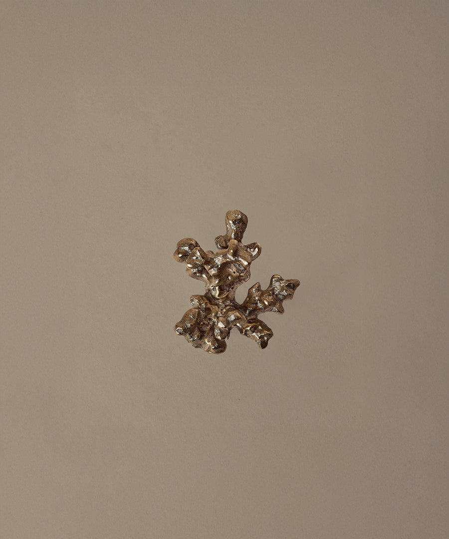 Comber Coral Branch Hook