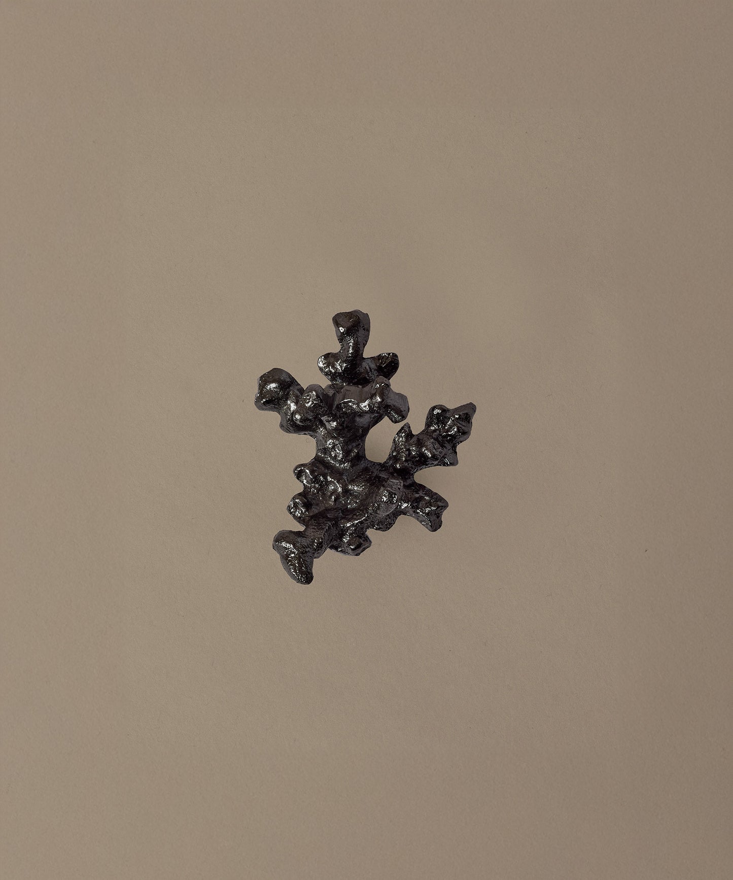 Comber Coral Branch Hook