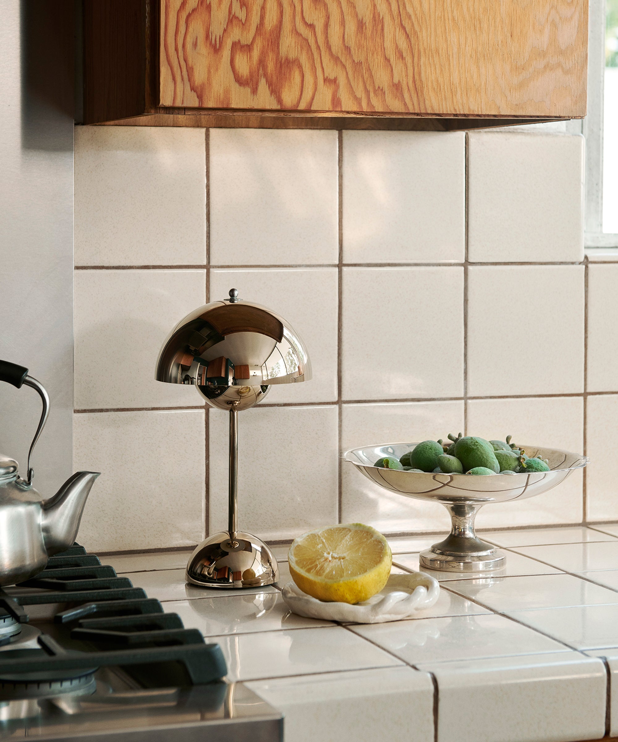 Flowerpot Portable Table Lamp VP9