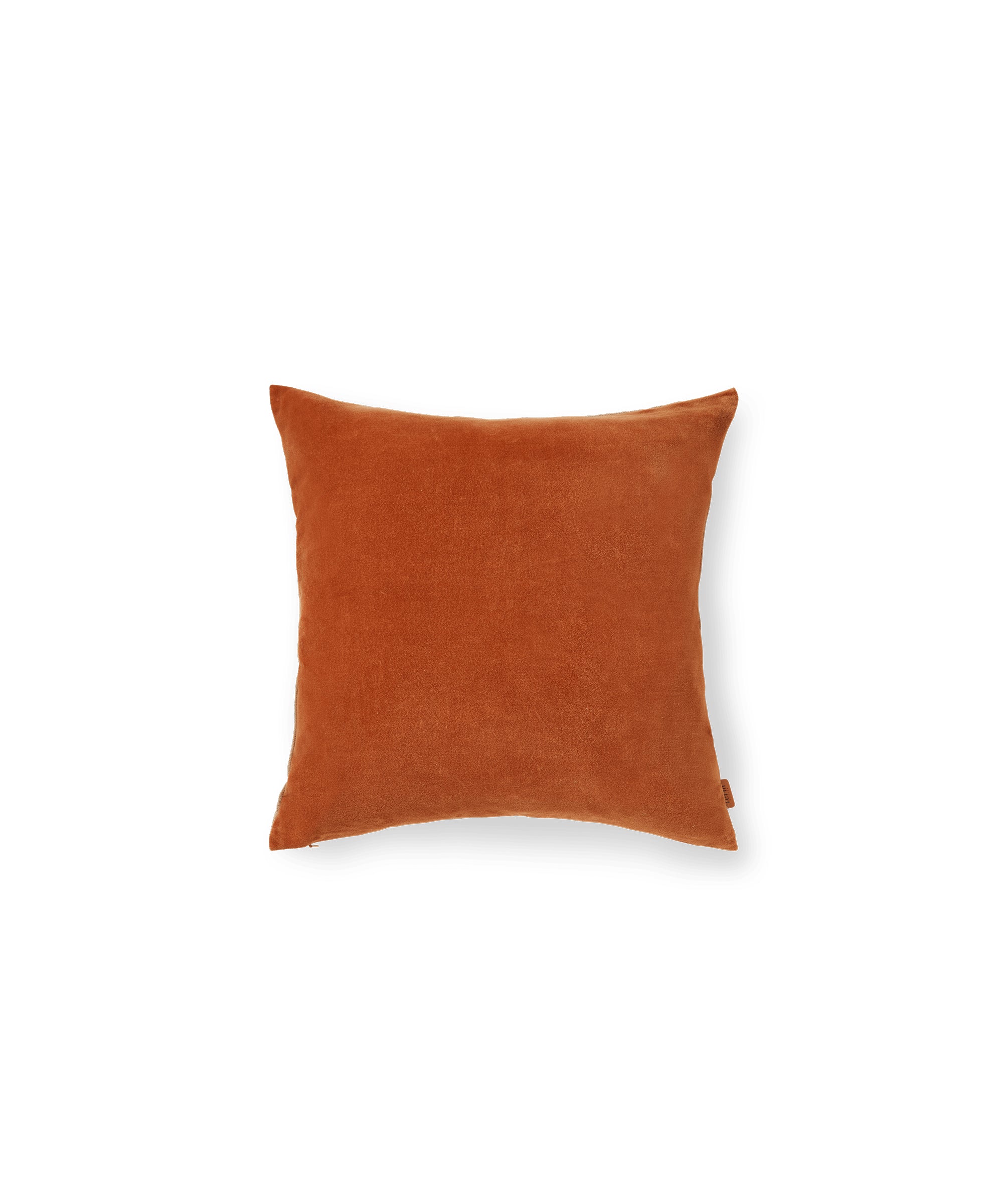 Senti Cushion