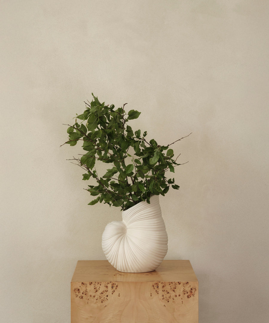 Shell Vase