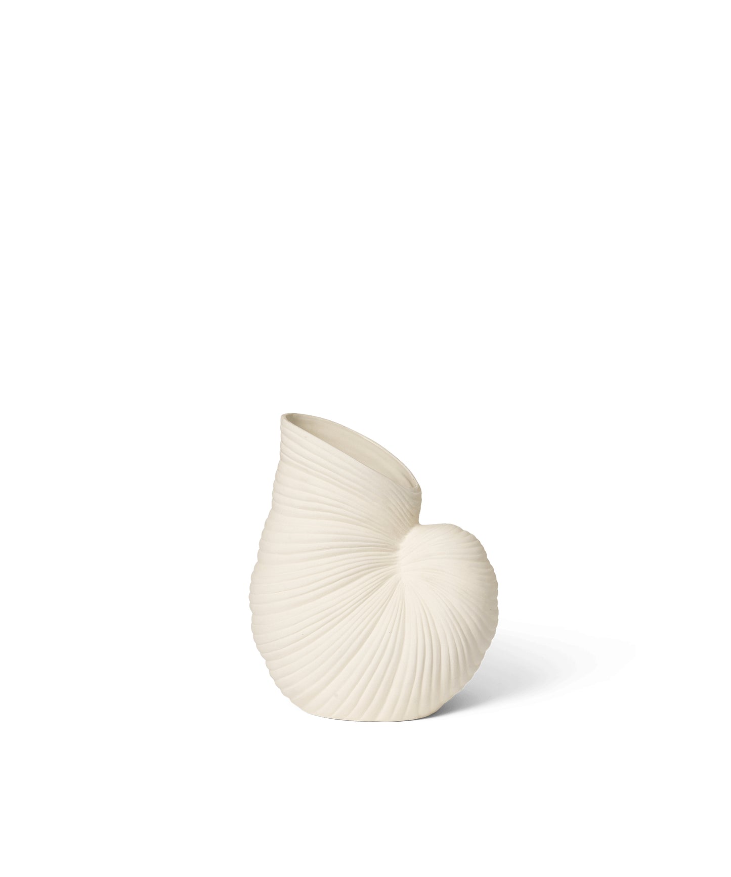 Shell Vase