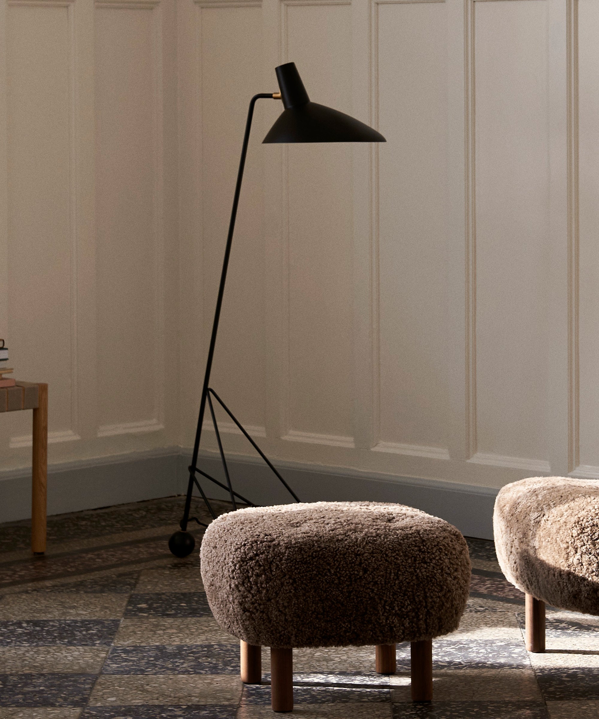 Tripod Floor Lamp HM8