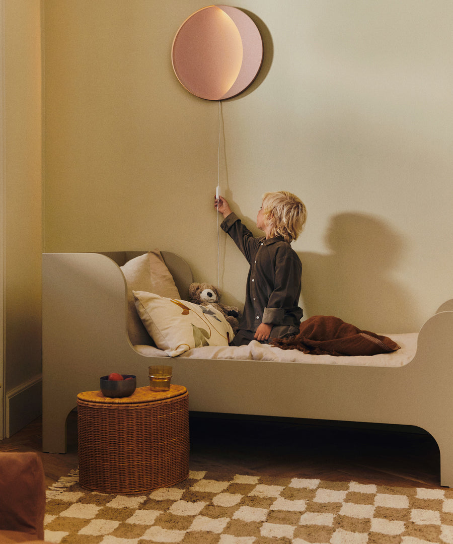 Willora Braided Storage, Set of 2