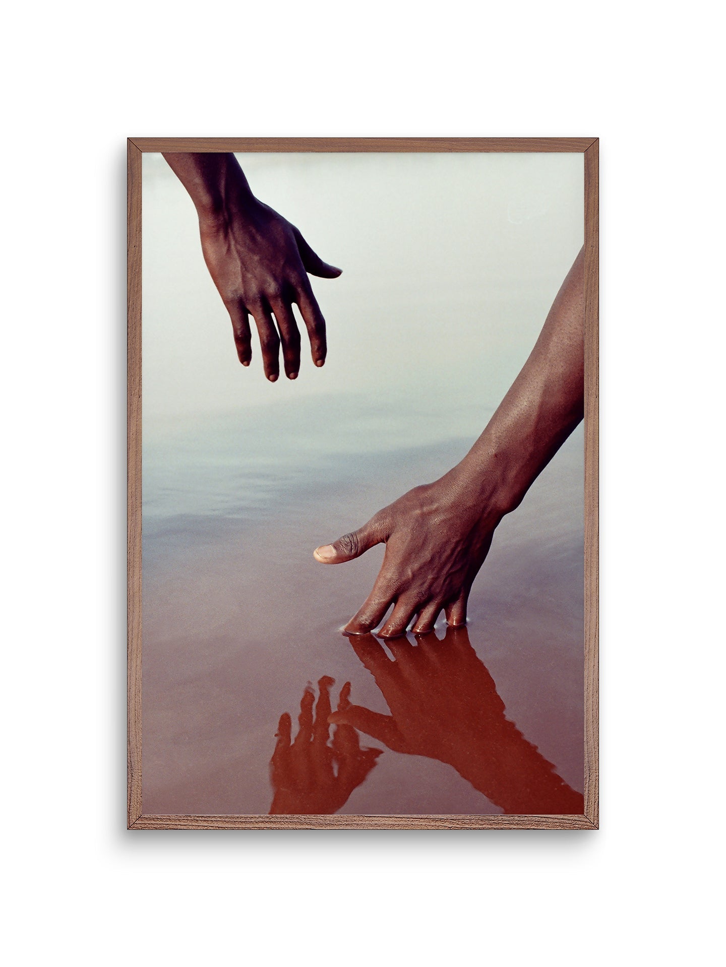 Lac Rose, #3 by Denisse Ariana Perez - Gallery Walnut - 16 x 24 - Sample
